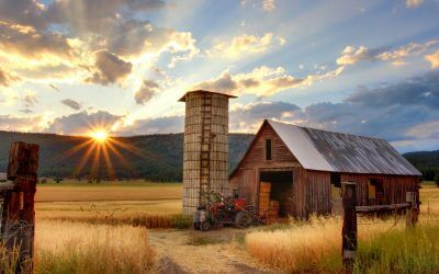 How to safely disinfect your farm
